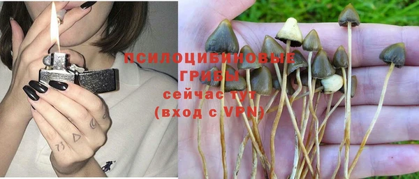 ГАЛЛЮЦИНОГЕННЫЕ ГРИБЫ Гусев