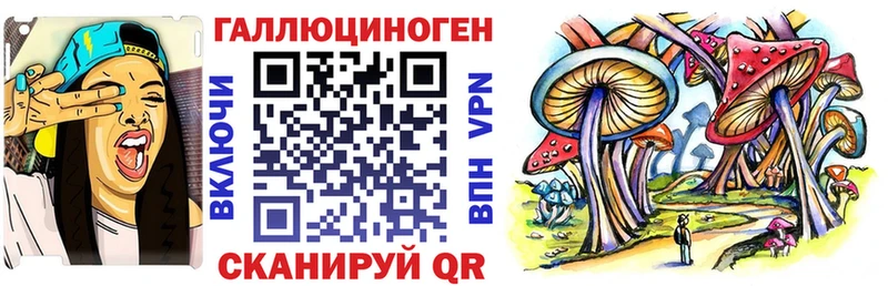 Галлюциногенные грибы Psilocybine cubensis  Купить где  Белебей 